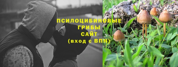 МДПВ Пересвет