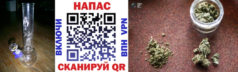 shop Telegram  Хабаровск  Бошки Шишки сатива 